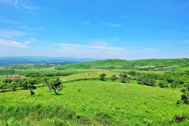 24269807_s ☆阿蘇の世界農業遺産：大自然と人々が織りなす持続可能な農業の魅力