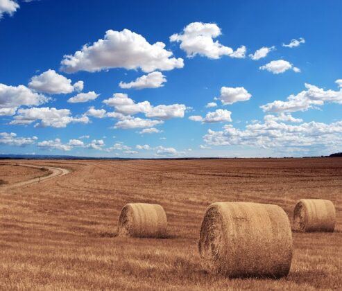 hay-bales-g33d5d87a3_640 ☆阿蘇の世界農業遺産：大自然と人々が織りなす持続可能な農業の魅力