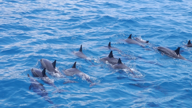 23447465_s 通知に追われる心が、天草の民泊で静かにほどけた日