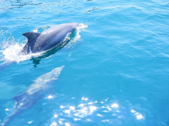 23492410_s 通知に追われる心が、天草の民泊で静かにほどけた日